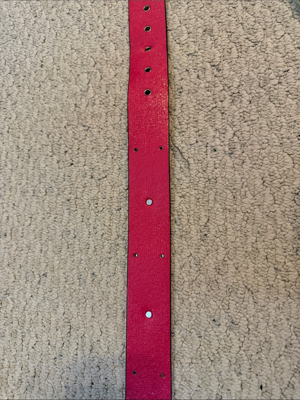 Guess Black Leather Star-Studded Belt with Silver Buckle - Picture 15 of 15